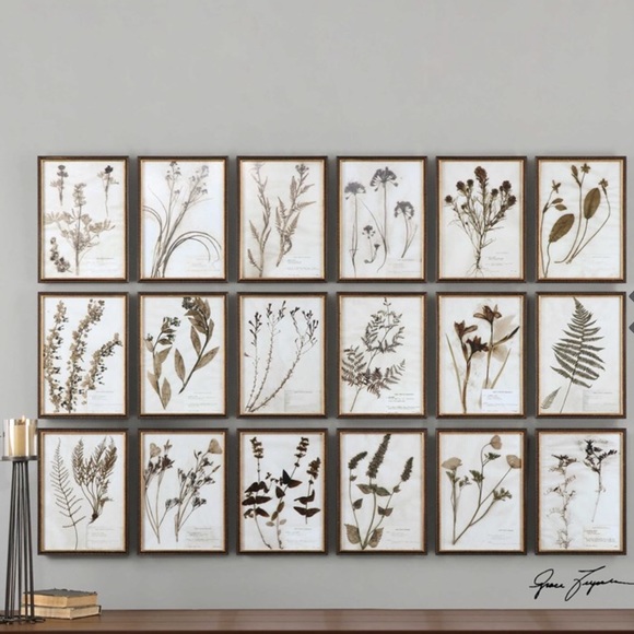Uttermost Wall Decor Revelation 4 Piece Set Of Botanical Prints